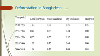 Deforestation in Bangladesh …..
 