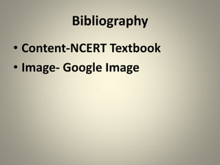 Bibliography
• Content-NCERT Textbook
• Image- Google Image
 