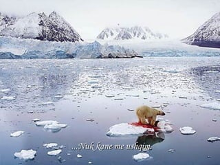 ... Nuk kane me ushqim . 