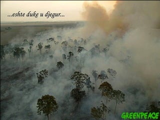 ... eshte duke u djegur ... 