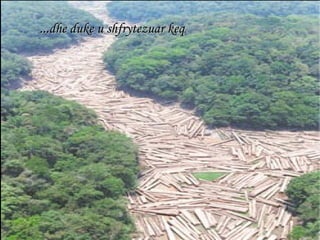 ... dhe duke u shfrytezuar keq . 