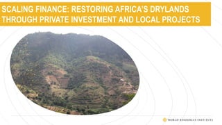SCALING FINANCE: RESTORING AFRICA’S DRYLANDS
THROUGH PRIVATE INVESTMENT AND LOCAL PROJECTS
 