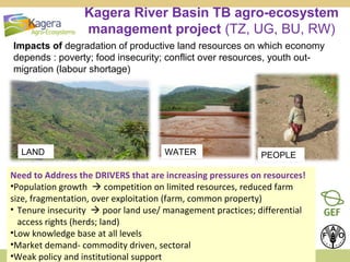 Kagera River Basin TB agro-ecosystem
management project (TZ, UG, BU, RW)
Impacts of degradation of productive land resources on which economy
depends : poverty; food insecurity; conflict over resources, youth outmigration (labour shortage)

LAND

WATER

PEOPLE

Need to Address the DRIVERS that are increasing pressures on resources!
•Population growth  competition on limited resources, reduced farm
size, fragmentation, over exploitation (farm, common property)
• Tenure insecurity  poor land use/ management practices; differential
access rights (herds; land)
•Low knowledge base at all levels
•Market demand- commodity driven, sectoral
7
•Weak policy and institutional support

 