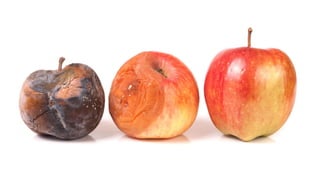 The paradox of Perfection - why performance pressure counteracts leadership