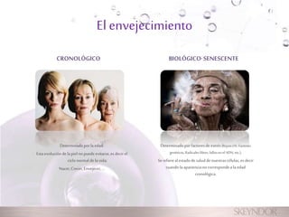 El envejecimiento 
CRONOLÓGICO BIOLÓGICO· SENESCENTE 
Determinado por factores de estrés (Rayos UV, Factores 
genéticos, Radicales libres, fallos en el ADN, etc.). 
Se refiere al estado de salud de nuestras células, es decir 
cuando la apariencia no corresponde a la edad 
cronológica. 
Determinado por la edad. 
Esta evolución de la piel no puede evitarse, es decir el 
ciclo normal de la vida: 
Nacer, Crecer, Envejecer, … 
 