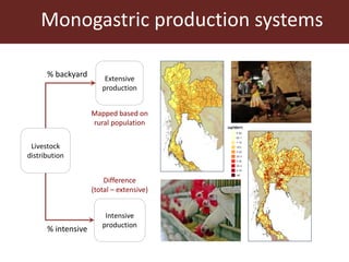 Mapped based on
rural population
Difference
(total – extensive)
% backyard
% intensive
Monogastric production systems
Live...
