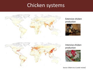 The global livestock sector: Trends, drivers and implications for society, health and the environment