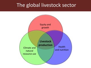 The global livestock sector: Trends, drivers and implications for society, health and the environment