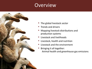 Overview
• The global livestock sector
• Trends and drivers
• Mapping livestock distributions and
production systems
• Liv...