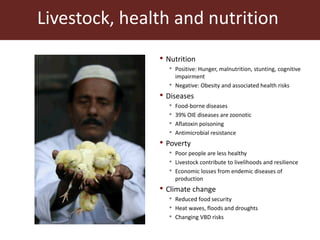 The global livestock sector: Trends, drivers and implications for society, health and the environment