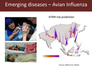 The global livestock sector: Trends, drivers and implications for society, health and the environment