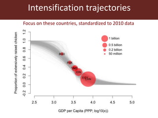 The global livestock sector: Trends, drivers and implications for society, health and the environment