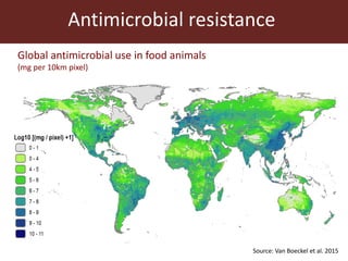The global livestock sector: Trends, drivers and implications for society, health and the environment