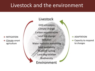 The global livestock sector: Trends, drivers and implications for society, health and the environment