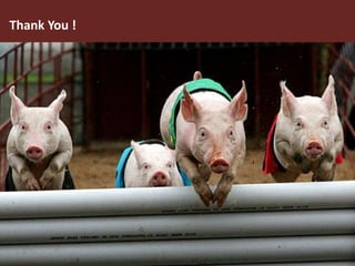 The global livestock sector: Trends, drivers and implications for society, health and the environment