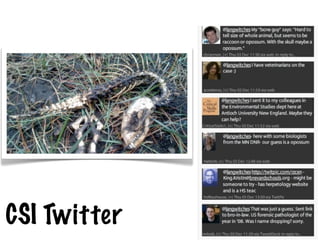 CSI Twitter
 