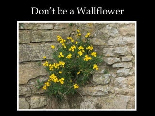 Don’t be a Wallflower
 
