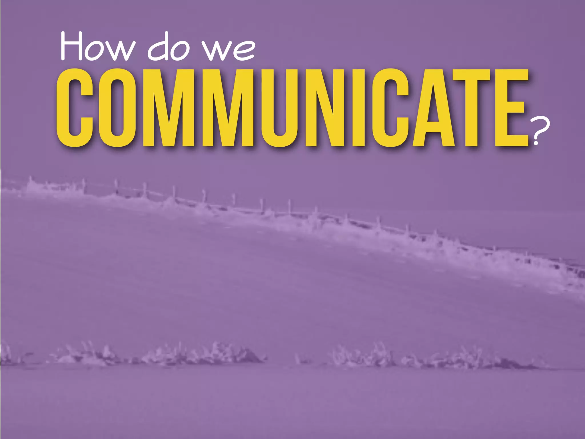 communicate How do we 
? 
 