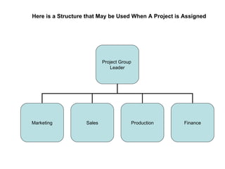 Here is a Structure that May be Used When A Project is Assigned Project Group  Leader Marketing Sales Production Finance 