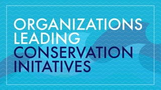 ORGANIZATIONS
LEADING
CONSERVATION
INITATIVES
 