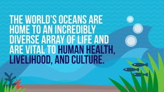 The world’s oceans are
home to an incredibly
diverse array of life and
are vital to human health,
livelihood, and culture.
 