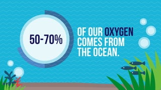 of our oxygen
comes from
the ocean.
50-70%
 