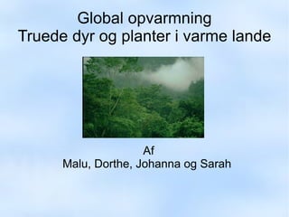 Global opvarmning Truede dyr og planter i varme lande Af Malu, Dorthe, Johanna og Sarah  