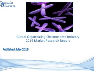 Published :May 2016
Global Organizating Chromosome Industry
2016 Market Research Report
 