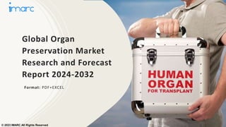 Global Organ
Preservation Market
Research and Forecast
Report 2024-2032
Format: PDF+EXCEL
© 2023 IMARC All Rights Reserved
 