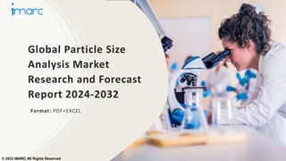 Global Particle Size
Analysis Market
Research and Forecast
Report 2024-2032
Format: PDF+EXCEL
© 2023 IMARC All Rights Reserved
 