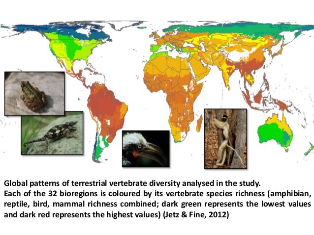 Global pattern of biodiversity