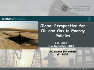 Global Perspective for
Oil and Gas in Energy
Policies
EIF 2015
4-6 November 2015
Dr. Zeynep Elif Yıldızel
VP, JADE
 