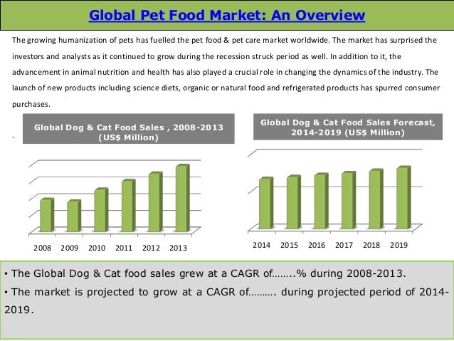 Research Cat Food Research Cat Food