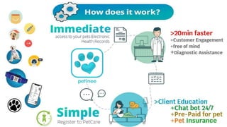 Petinee Global pitching 