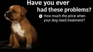 Do
Where is my vaccine book?
How much the price when
your dog need treatment?
 