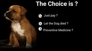 Where is my vaccine book?
Just pay ?
The Choice is ?
Preventive Medicine ?
Let the Dog died ?
 