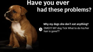 Do
Where is my vaccine book?
How much the price when
your dog need treatment?
OMG!!!! MY dog Tick What to do his/her
hair is gone??
 