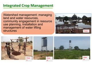 ICRISAT Global Planning Meeting 2019: Research Program - West and Central Africa by Ramadjita Tabo and team