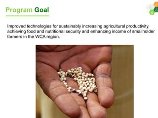 ICRISAT Global Planning Meeting 2019: Research Program - West and Central Africa by Ramadjita Tabo and team