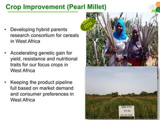 ICRISAT Global Planning Meeting 2019: Research Program - West and Central Africa by Ramadjita Tabo and team