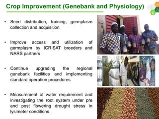 ICRISAT Global Planning Meeting 2019: Research Program - West and Central Africa by Ramadjita Tabo and team