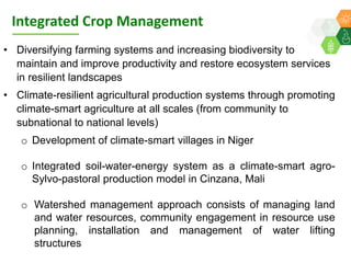ICRISAT Global Planning Meeting 2019: Research Program - West and Central Africa by Ramadjita Tabo and team