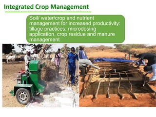 ICRISAT Global Planning Meeting 2019: Research Program - West and Central Africa by Ramadjita Tabo and team