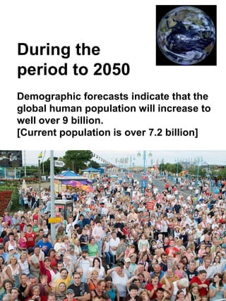 Global Energy Picture Today And Key Trends To 2050 Pptx