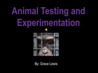 Animal Testing and
 Experimentation



     By: Grace Lewis
 