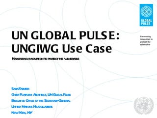 UN GLOBAL PULSE: UNGIWG Use Case Harnessing innovation to protect the vulnerable Sara Farmer Chief Platform Architect, UN Global Pulse Executive Office of the Secretary-General United Nations Headquarters New York, NY 