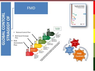 GLOBALCONTORL
STRAGEGYOF FMD
2012
FMD
Control
Control
Other
Diseases
Improve
VS
 Risk-based Strategic
Plan
 Risk
Assessm...