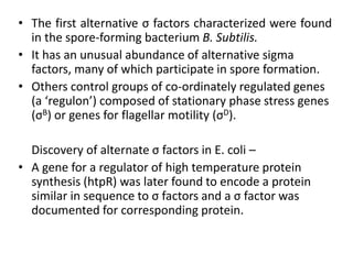 • The first alternative σ factors characterized were found
in the spore-forming bacterium B. Subtilis.
• It has an unusual abundance of alternative sigma
factors, many of which participate in spore formation.
• Others control groups of co-ordinately regulated genes
(a ‘regulon’) composed of stationary phase stress genes
(σB) or genes for flagellar motility (σD).
Discovery of alternate σ factors in E. coli –
• A gene for a regulator of high temperature protein
synthesis (htpR) was later found to encode a protein
similar in sequence to σ factors and a σ factor was
documented for corresponding protein.
 
