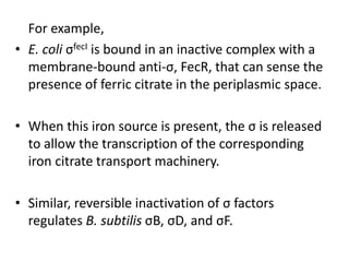 For example,
• E. coli σfecI is bound in an inactive complex with a
membrane-bound anti-σ, FecR, that can sense the
presence of ferric citrate in the periplasmic space.
• When this iron source is present, the σ is released
to allow the transcription of the corresponding
iron citrate transport machinery.
• Similar, reversible inactivation of σ factors
regulates B. subtilis σB, σD, and σF.
 