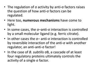 • The regulation of σ activity by anti-σ factors raises
the question of how anti-σ factors can be
regulated.
• Here too, numerous mechanisms have come to
light.
• In some cases, the σ–anti-σ interaction is controlled
by a small molecular ligand (e.g. ferric citrate).
• In other cases the σ– anti-σ interaction is controlled
by reversible interaction of the anti-σ with another
regulator, an anti-anti-σ factor!
• In the case of B. subtilis σB, a cascade of at least
four regulatory proteins ultimately controls the
activity of a single σ factor.
 